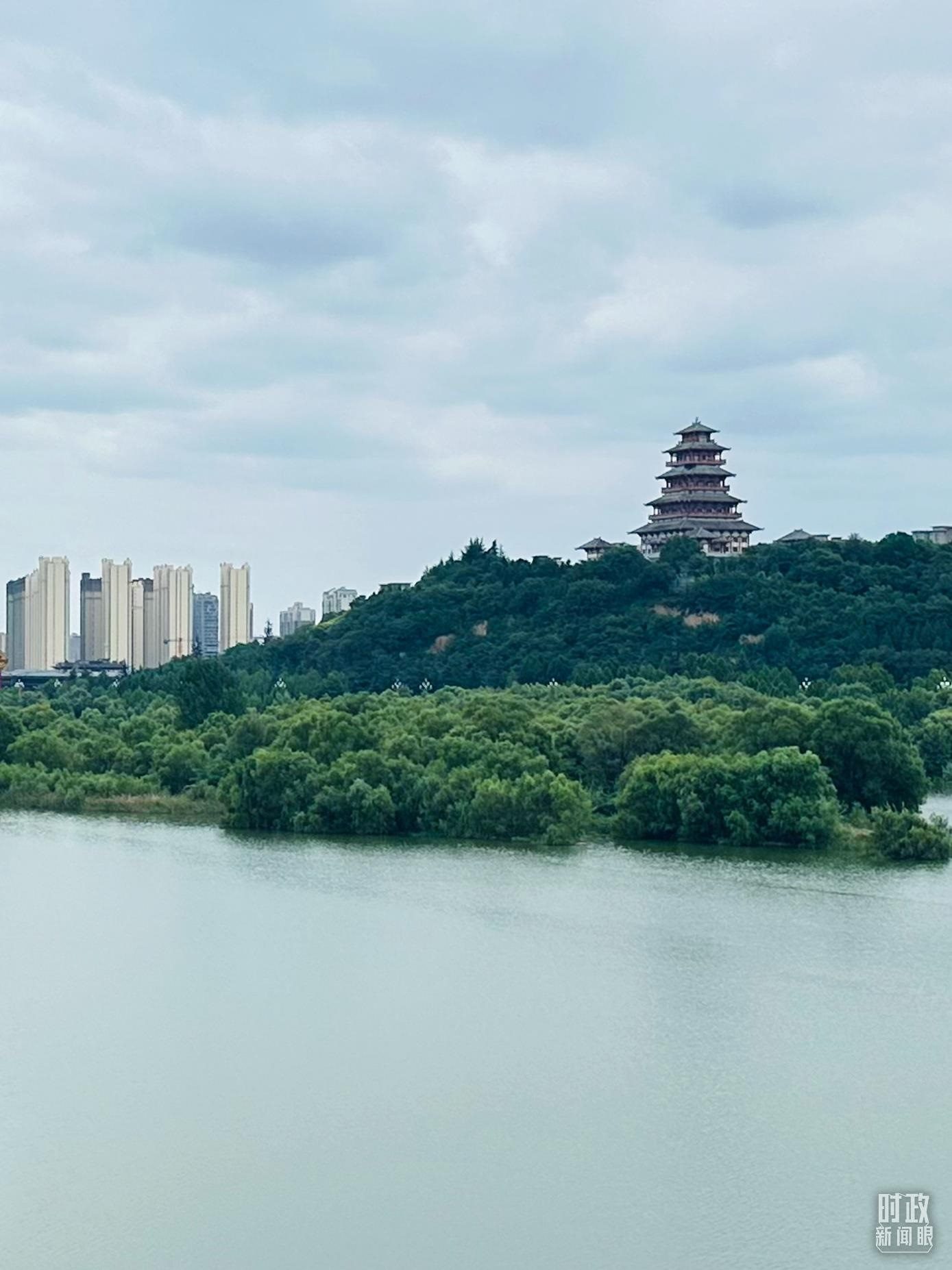 △渭河寶雞段長224公里，目前建成17處渭河灘區(qū)生態(tài)涵養(yǎng)區(qū)。（總臺央視記者范一鳴拍攝）