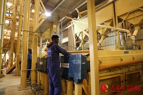 在Bule Hora咖啡加工廠里工作的當(dāng)?shù)毓と藗?。人民網(wǎng)記者 沈小曉攝