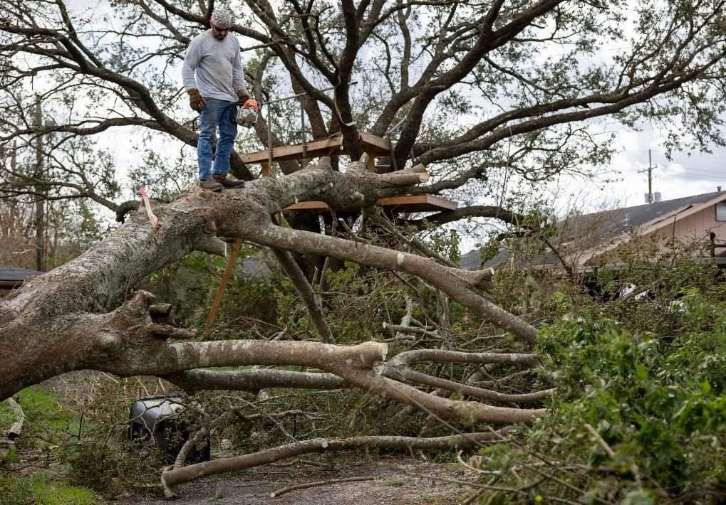 2021年8月30日，在美國路易斯安那州霍馬，一名男子站在被颶風吹倒的大樹上。新華社發(fā)（尼克·瓦格納 攝）