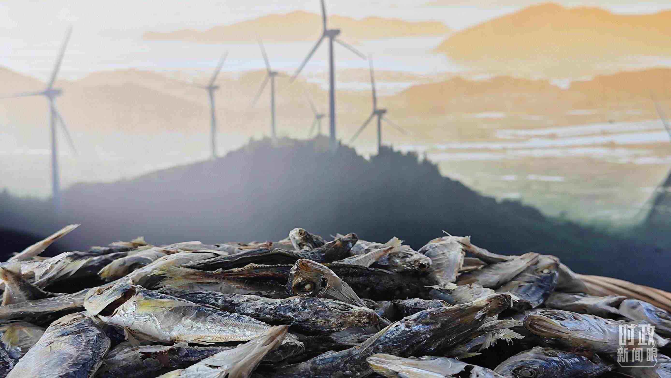 △澳角村的海產(chǎn)品。（總臺央視記者許永松拍攝）