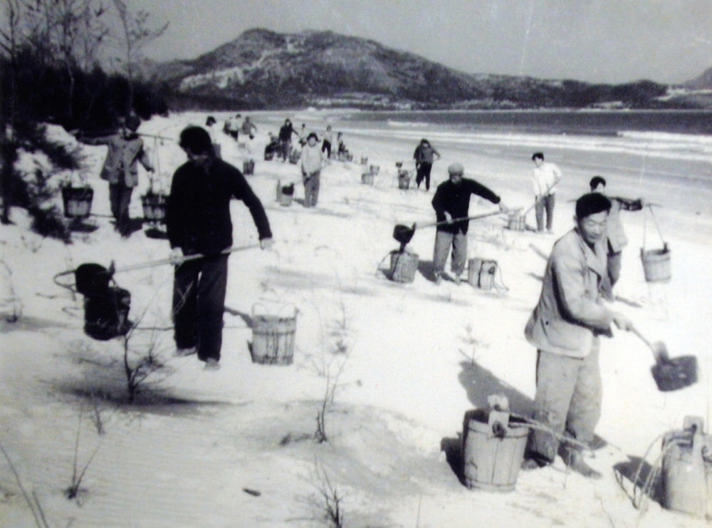 上世紀(jì)東山百姓在沙灘造林（資料照片）。