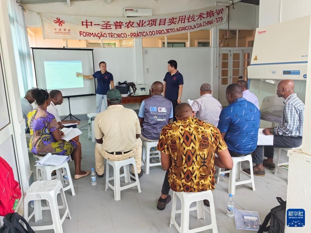 中國援圣普農牧業(yè)技術項目組專家段振華（后左）在圣多美和普林西比的國家獸醫(yī)實驗室開展動物疫病監(jiān)測技術培訓（2024年6月21日攝）。新華社發(fā)（中國援圣普農技組供圖）