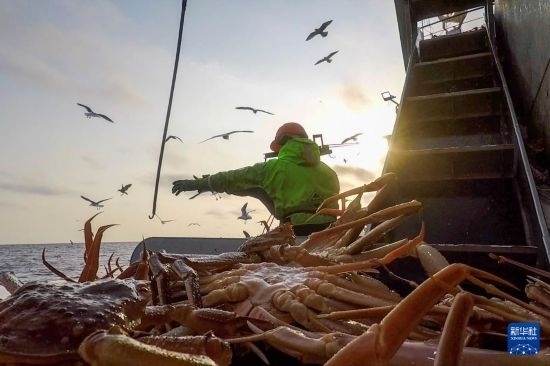 這是俄羅斯蟹業(yè)集團(tuán)工作人員進(jìn)行遠(yuǎn)洋捕撈的資料照片。新華社發(fā)（俄羅斯蟹業(yè)集團(tuán)供圖）