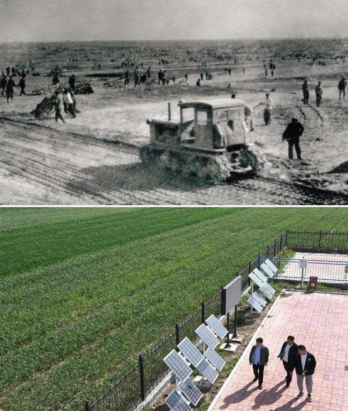 上圖為二十世紀六十年代蘭考改造鹽堿地的情景（資料照片）；下圖為2024年4月18日拍攝的蘭考縣紅廟鎮(zhèn)高標準農(nóng)田示范區(qū)。（新華社記者 朱祥 攝）