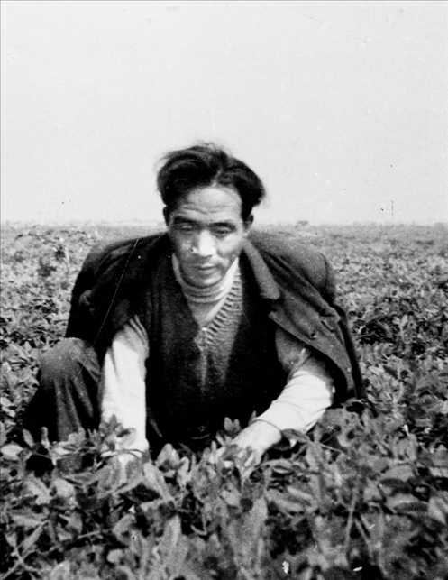 在蘭考期間，焦裕祿在田間勞動的情景。