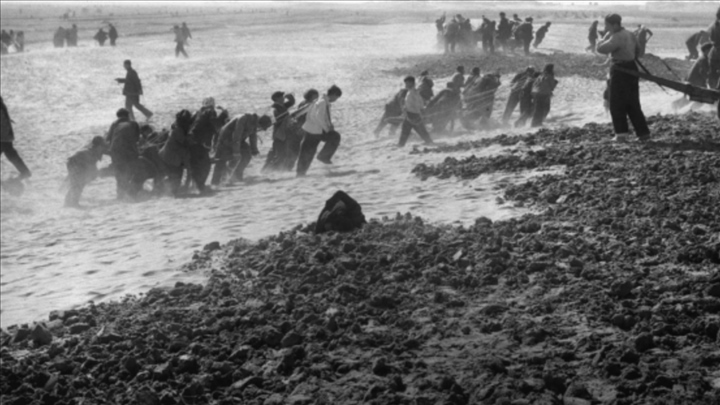 蘭考群眾在拉淤土壓沙。（新華社記者 鄧歷耕 攝）