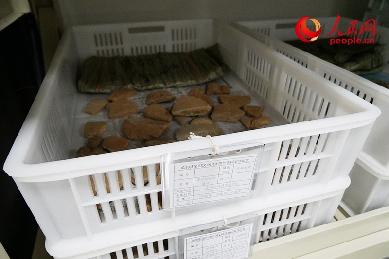 已經(jīng)整理完畢的文物標(biāo)本。人民網(wǎng)記者 韋衍行攝