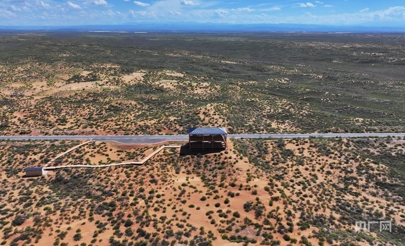 古浪縣一代代人治沙不息，讓綠色向沙漠深處不斷延伸（央廣網(wǎng)記者 李紅軍 攝）