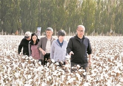 李召虎團(tuán)隊(duì)成員在棉田了解試驗(yàn)情況。 受訪單位供圖