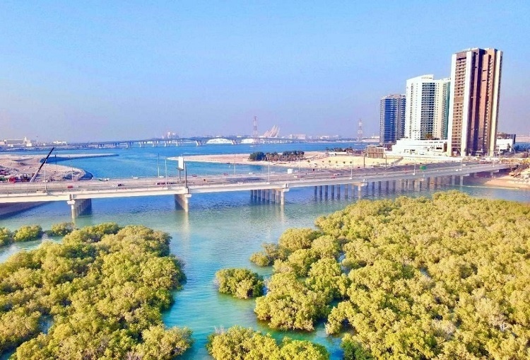 圖為瑞姆橋施工現(xiàn)場(chǎng)。中國(guó)土木供圖