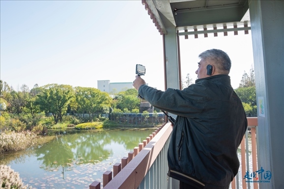 參觀白鷺園。環(huán)球網(wǎng)供圖