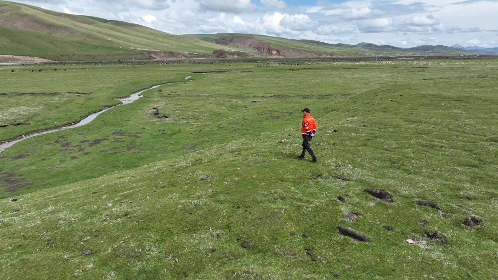9月24日，生態(tài)管護(hù)員那瓦才郎在草場(chǎng)上巡護(hù)。（受訪者供圖）