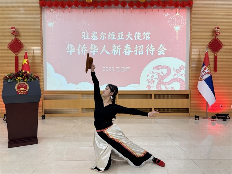 招待會現(xiàn)場表演。諾維薩德孔子學院供圖