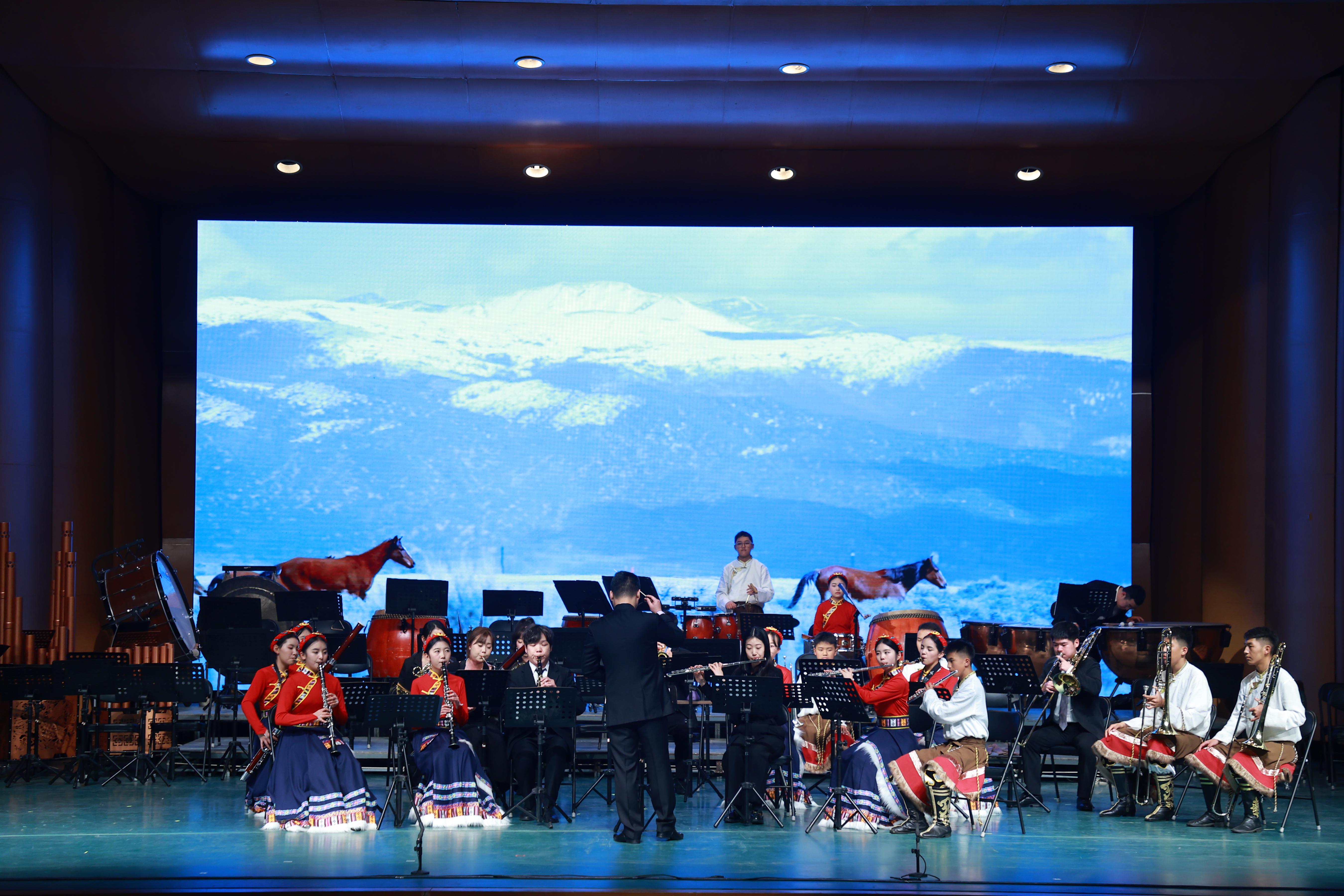 音樂會展演現(xiàn)場。（主辦方供圖）