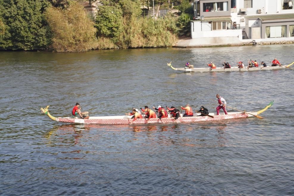 活動現(xiàn)場龍舟競技，共慶春節(jié)。開羅中國文化中心供圖