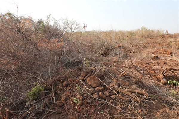 施工現(xiàn)場(chǎng)。張曉昆攝