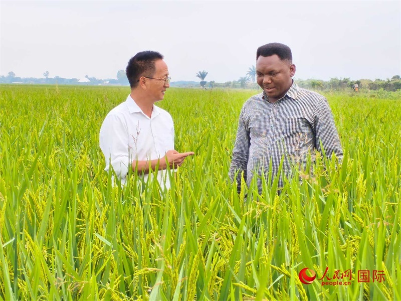 專家組組長楊華德在與農民學員交流。人民網記者黃培昭攝