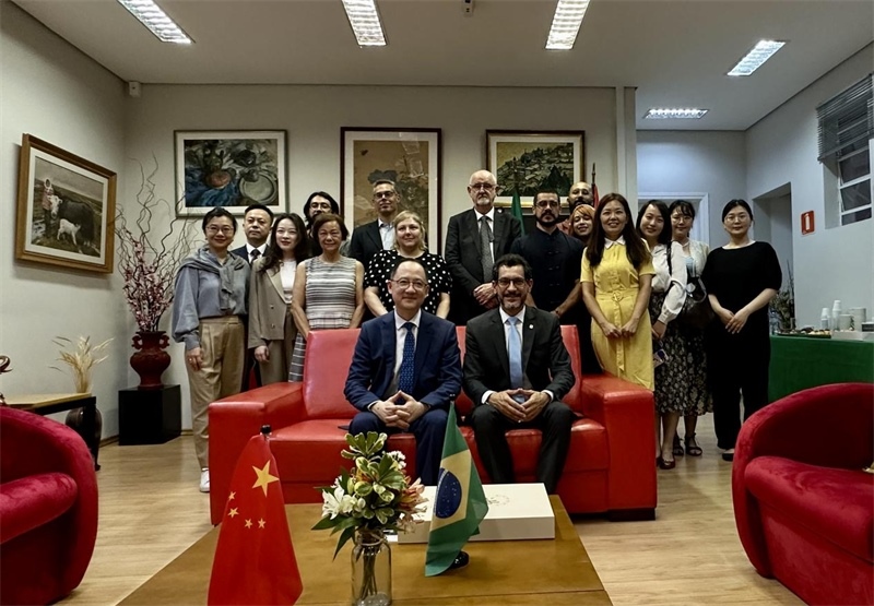 圖為參加座談會(huì)的來(lái)賓合影留念。 圣保羅州立大學(xué)孔子學(xué)院供圖