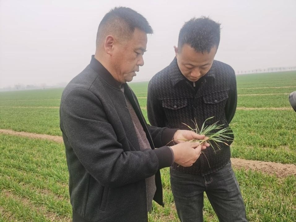 在山東濟寧汶上縣苑莊鎮(zhèn)，農(nóng)技員黃海龍對種糧大戶王振現(xiàn)場進行春耕指導。人民網(wǎng)記者 車柯蒙攝