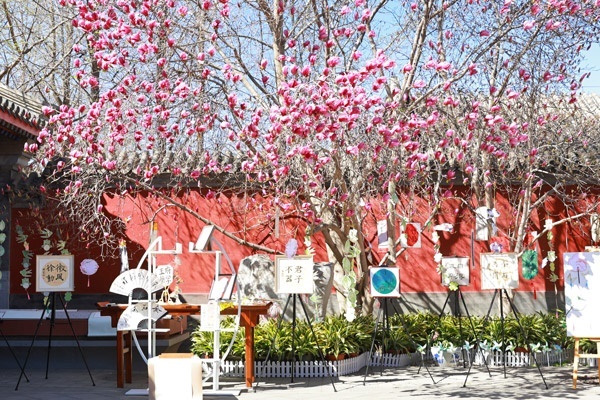 翰墨書(shū)韻展區(qū)的書(shū)法展品。府學(xué)胡同小學(xué)供圖