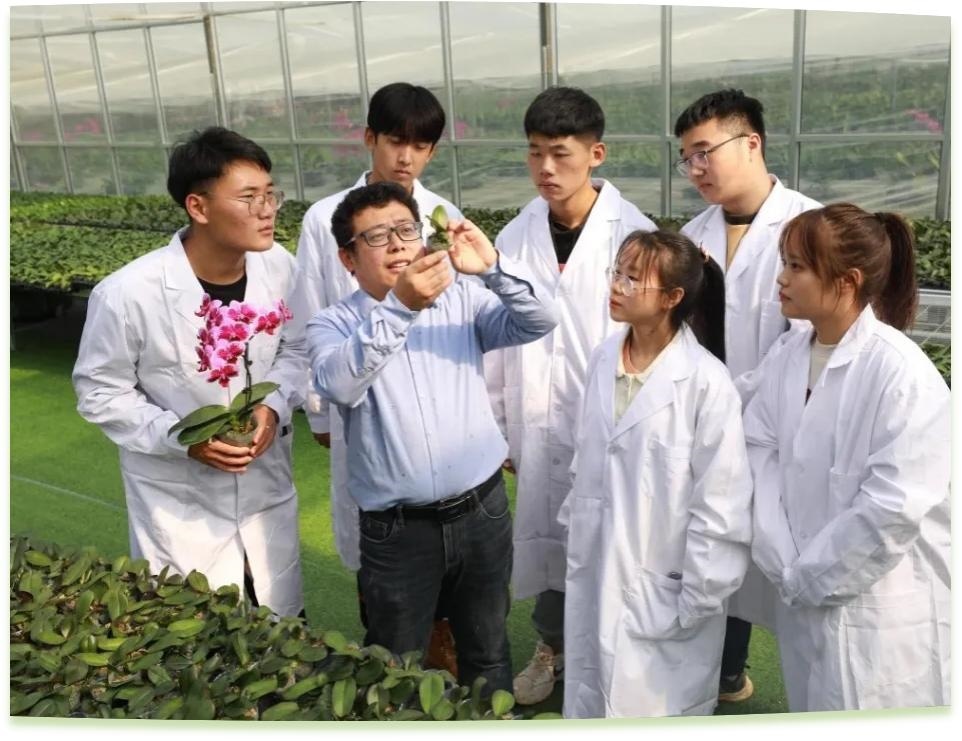 濰坊工程職業(yè)學院科技創(chuàng)新團隊為花卉行業(yè)從業(yè)者作蝴蝶蘭雜交選育技術指導。學校供圖