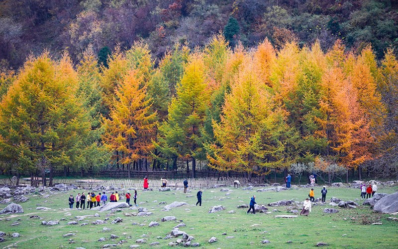 2023年10月27日，深秋時(shí)節(jié)的陜西秦嶺太子嶺五彩斑斕，進(jìn)入最佳觀賞期。