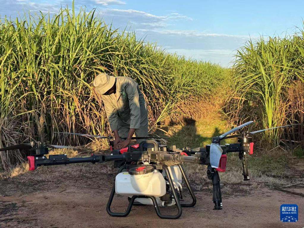 3月25日，在南非夸祖魯-納塔爾省的方廷希爾莊園，工作人員為無人機做起飛作業(yè)前的準備。新華社記者 白舸 攝