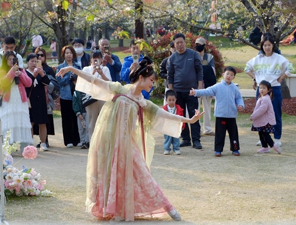 清明假期期間，上海顧村公園櫻花島上，游客在觀賞國風(fēng)漢服快閃表演。（圖片來源：視覺中國）