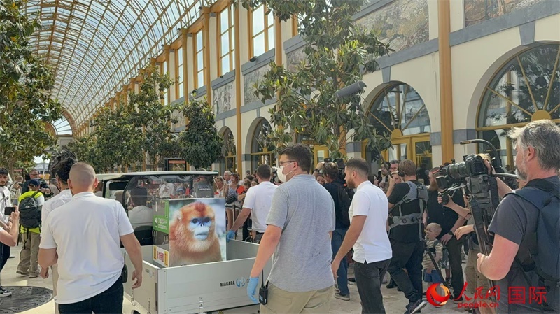 圖為活動現(xiàn)場。人民網(wǎng)記者 牛瑞飛攝