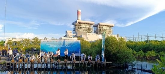 5月18日，中印尼嘉賓在爪哇7號燃煤電站舉行紅樹林補植儀式。記者 曹凱 攝