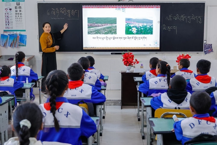 2024年9月27日，在四川省甘孜藏族自治州道孚縣城關(guān)第一完全小學(xué)，采取“藏加模式”教學(xué)的五年級(jí)一班的藏語(yǔ)文課上，準(zhǔn)木周老師指導(dǎo)藏族學(xué)生以家鄉(xiāng)草原風(fēng)物為主題寫作藏語(yǔ)文作文。新華社記者 沈伯韓 攝