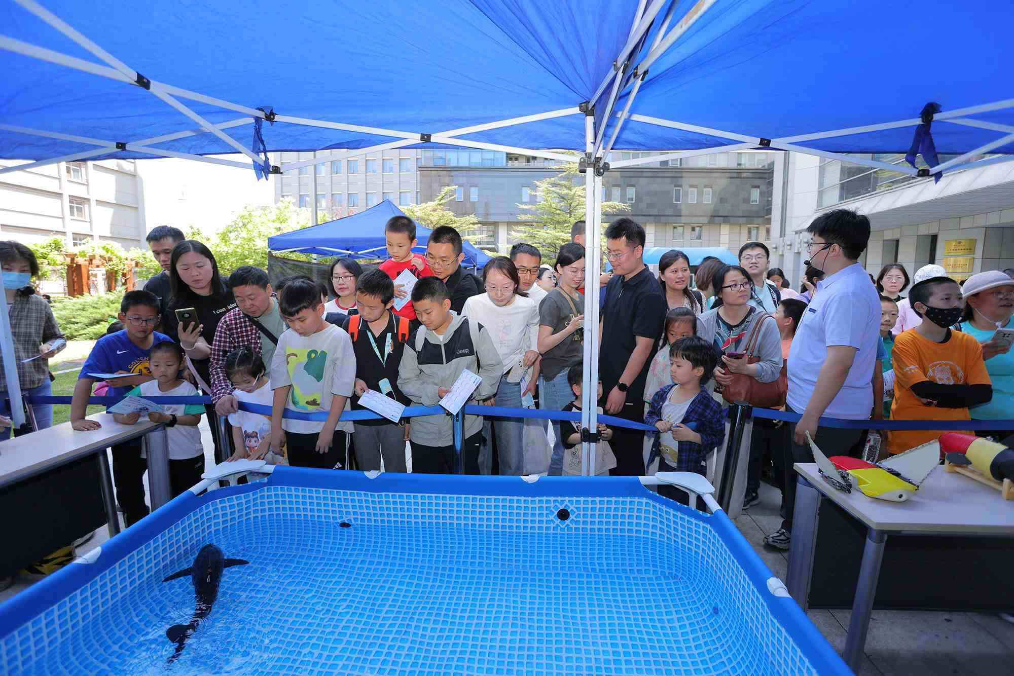 水下仿生機器魚在活動現(xiàn)場大受歡迎。中國科學院自動化研究所供圖